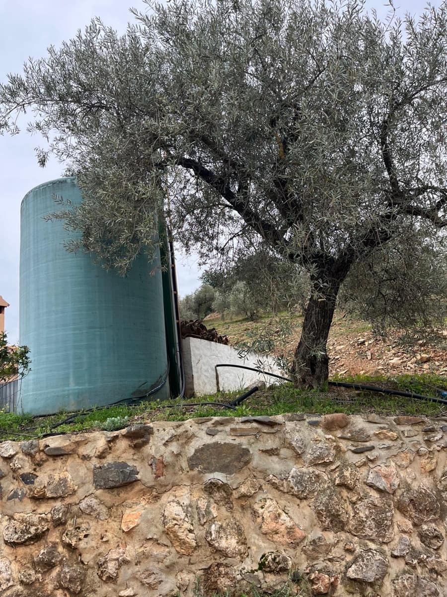 Landgrundstück zu vermieten in Comares - 650 € (Ref: 8751766)