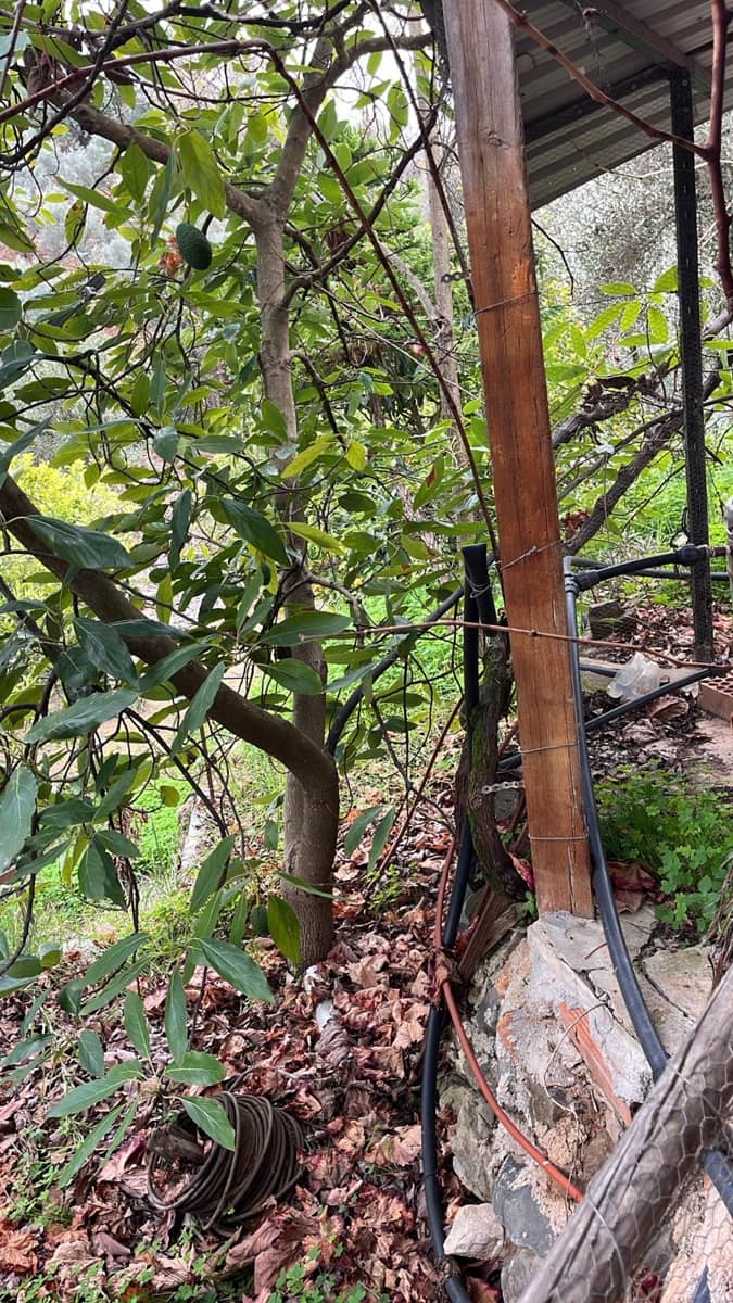 Landgrundstück zu vermieten in Comares - 650 € (Ref: 8751766)