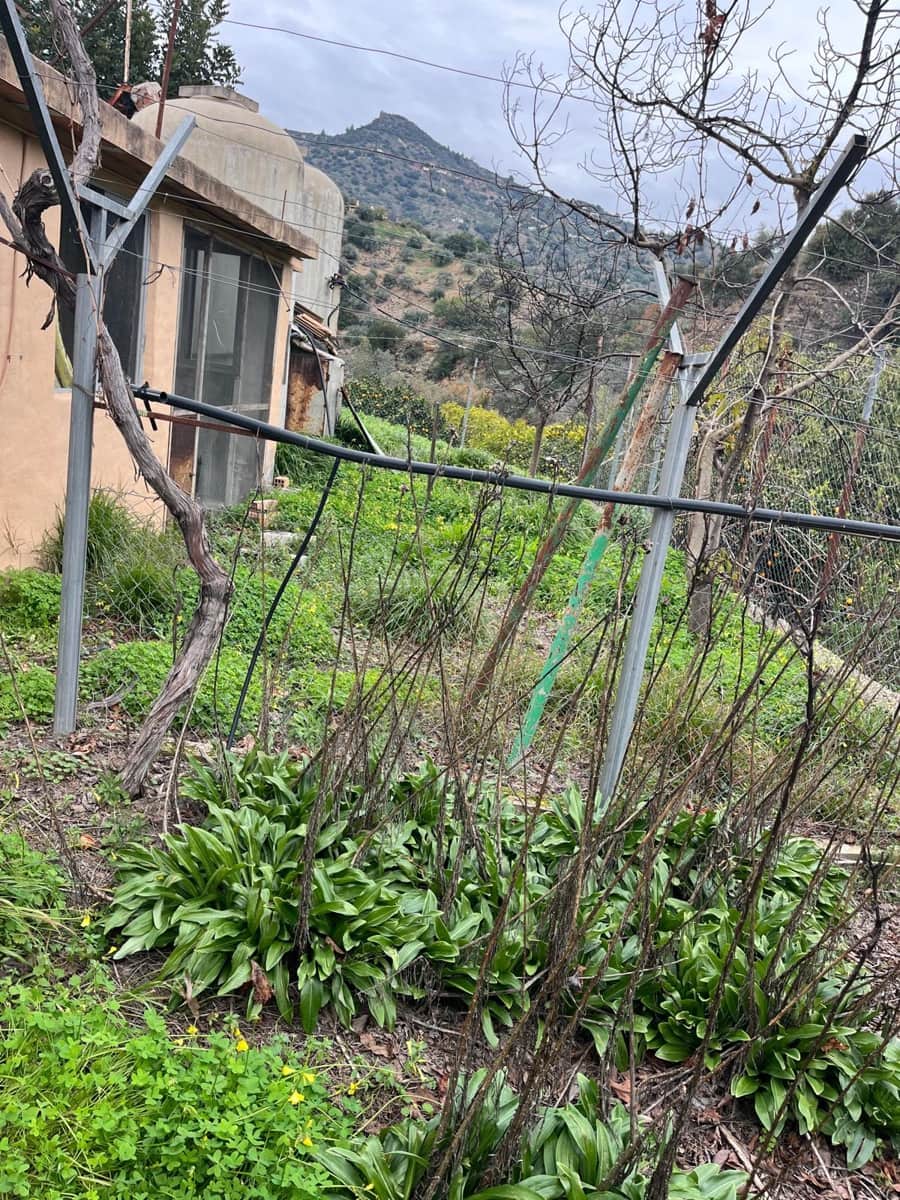 Landgrundstück zu vermieten in Comares - 650 € (Ref: 8751766)