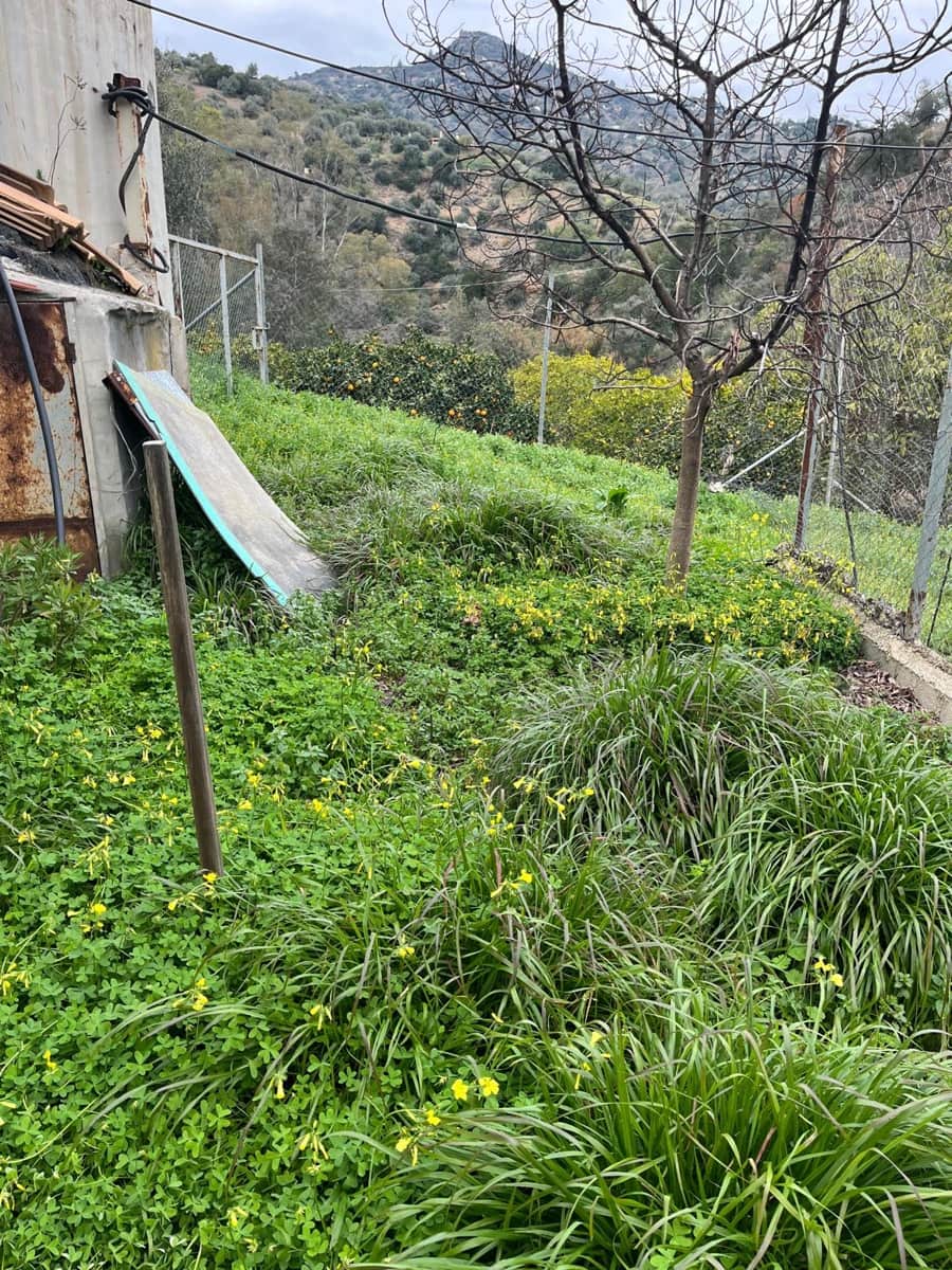 Landgrundstück zu vermieten in Comares - 650 € (Ref: 8751766)
