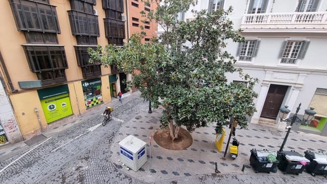 4 soveværelse Lejlighed til leje i Centro Historico, Málaga by - € 1.900 (Ref: 9207654)