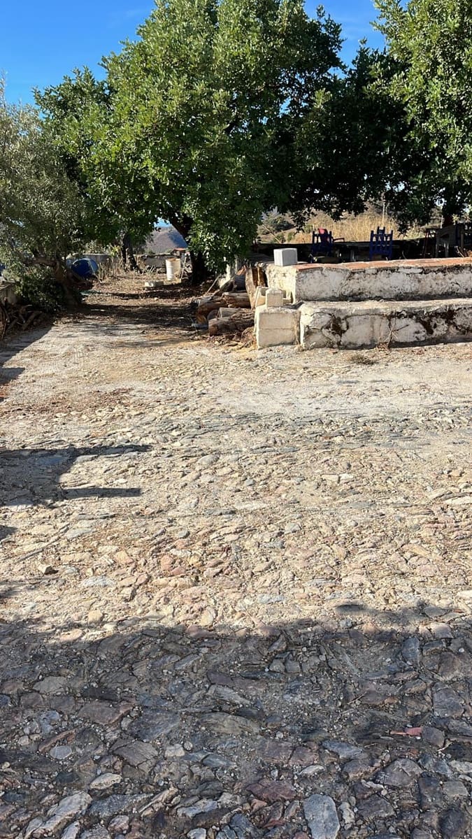 Mark att hyra i Sedella - 600 € (Ref: 9343542)