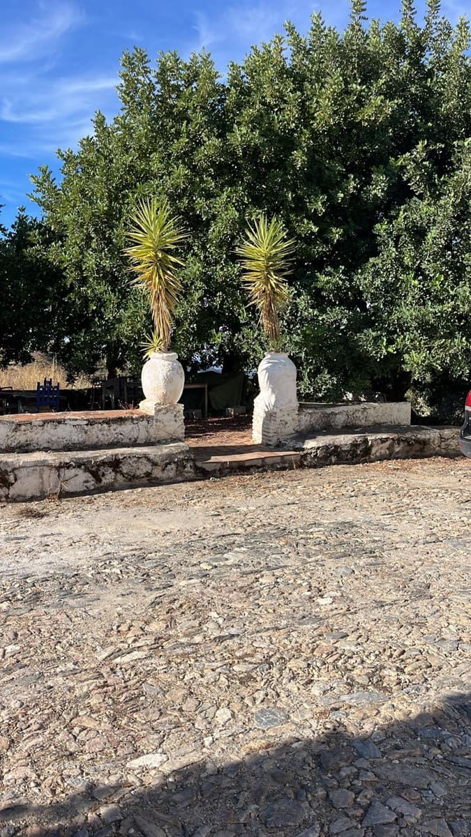 Mark att hyra i Sedella - 600 € (Ref: 9343542)