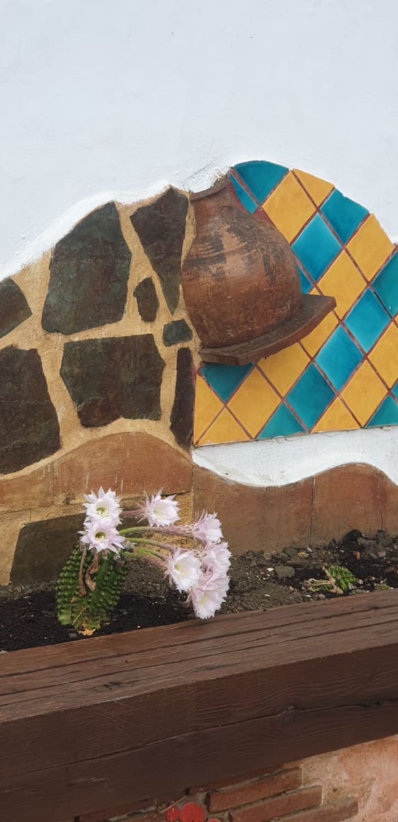 Terreno Não Urbanizado para arrendar em Coin - 2 000 € (Ref: 9454775)