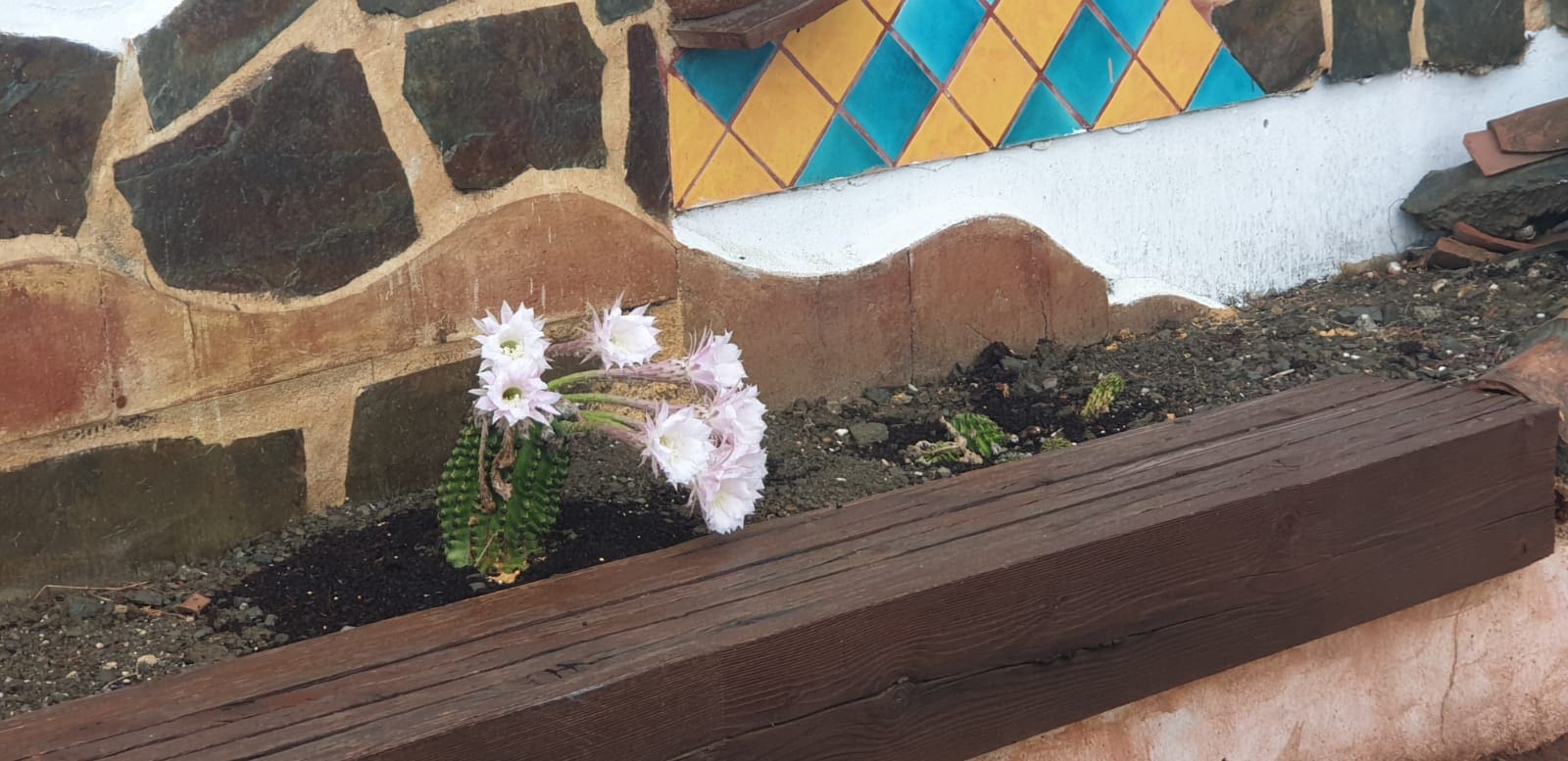 Terreno Não Urbanizado para arrendar em Coin - 2 000 € (Ref: 9454775)