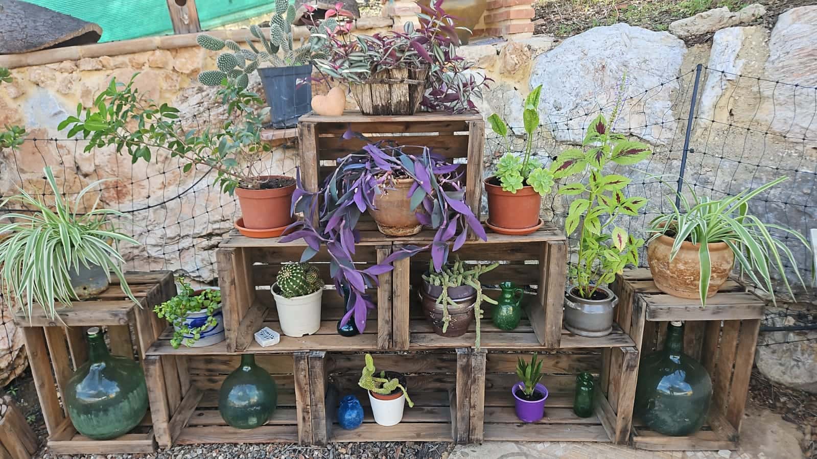 Terreno Não Urbanizado para arrendar em Coin - 2 000 € (Ref: 9454775)