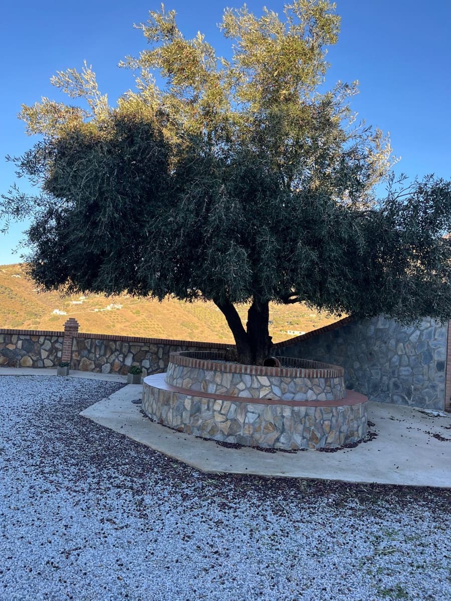 4 bedroom Finca/Country House for rent in Sedella with pool garage - € 1,500 (Ref: 9508006)