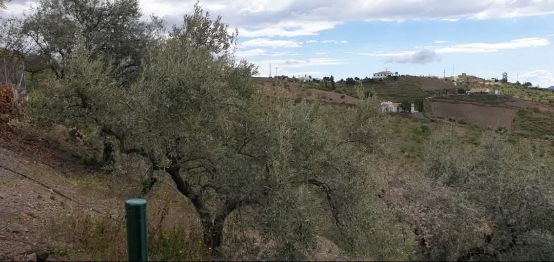 3 bedroom Townhouse for rent in Sedella with garage - € 800 (Ref: 9538884)