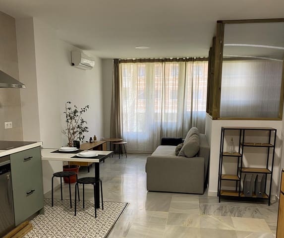 Loft for rent in La Princesa, Málaga city - € 1,000 (Ref: 9649959)