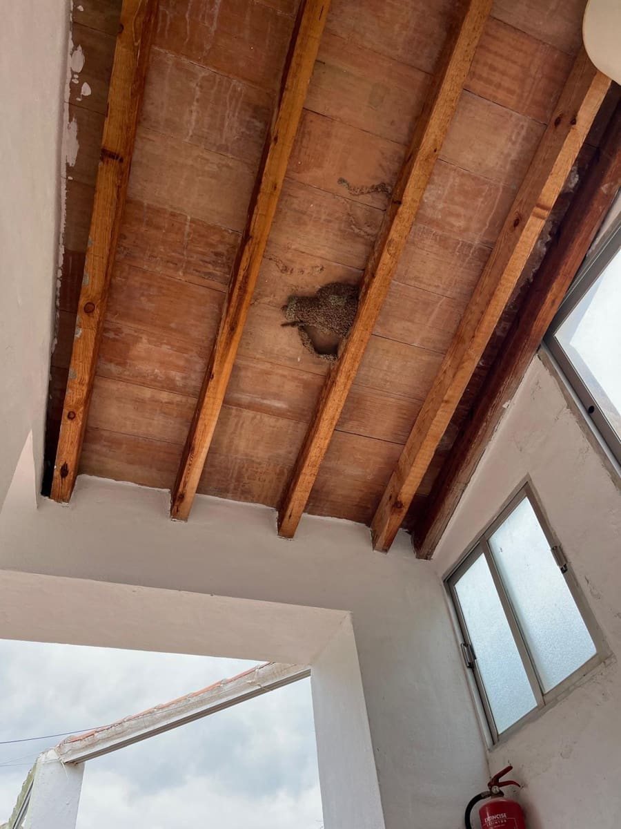 Undeveloped Land for rent in Comares - € 400 (Ref: 9727576)