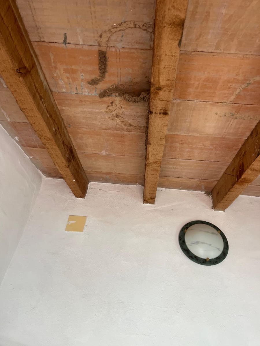 Undeveloped Land for rent in Comares - € 400 (Ref: 9727576)