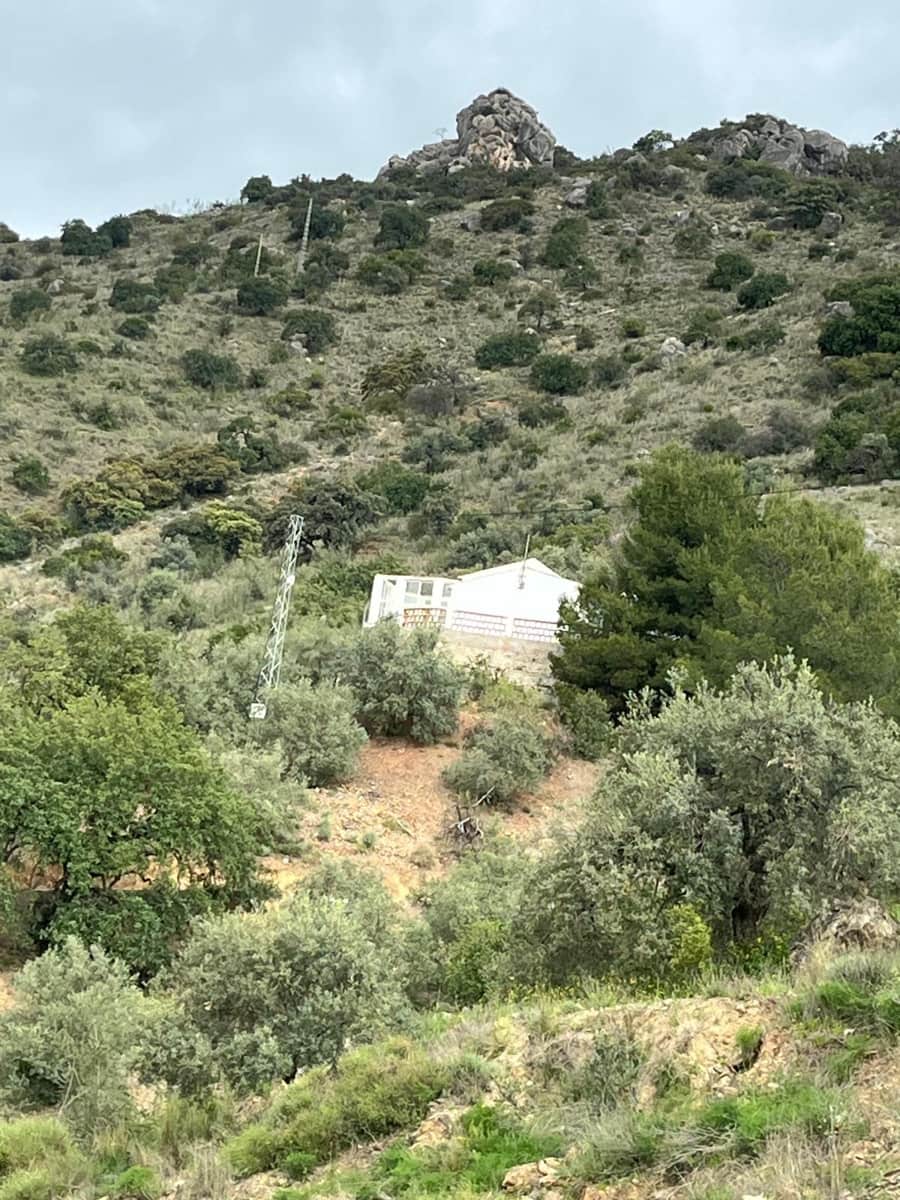 Undeveloped Land for rent in Comares - € 400 (Ref: 9727576)