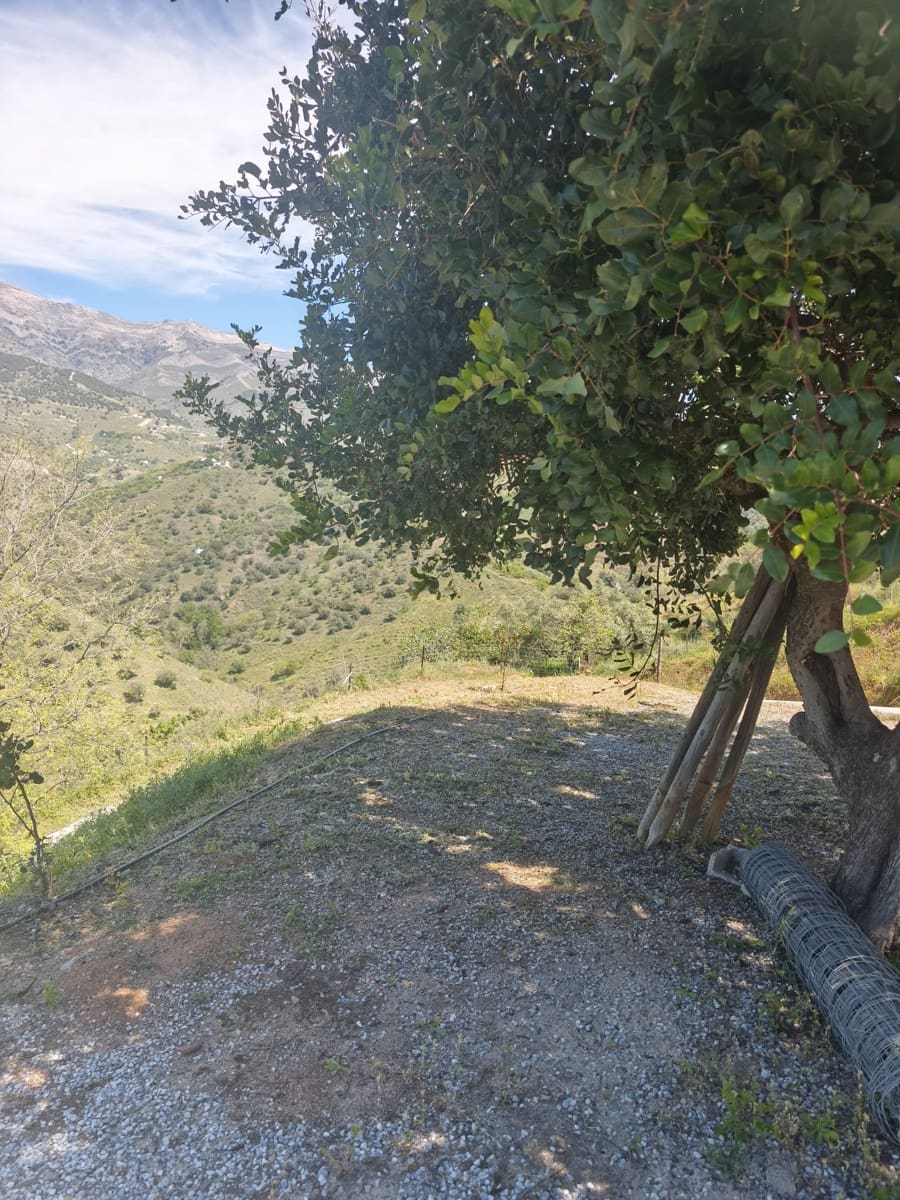 Mark att hyra i Sedella - 900 € (Ref: 9789511)