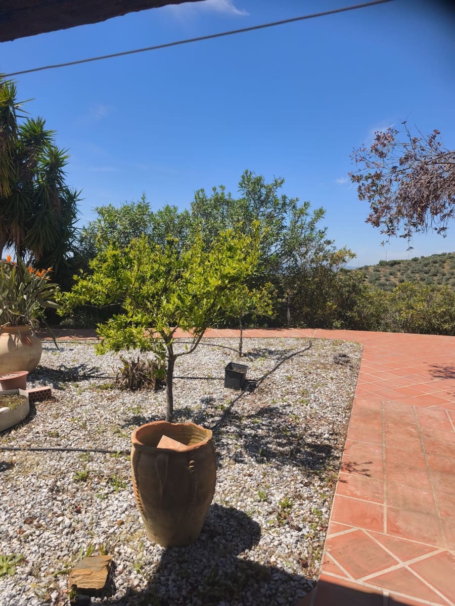 Mark att hyra i Sedella - 900 € (Ref: 9789511)