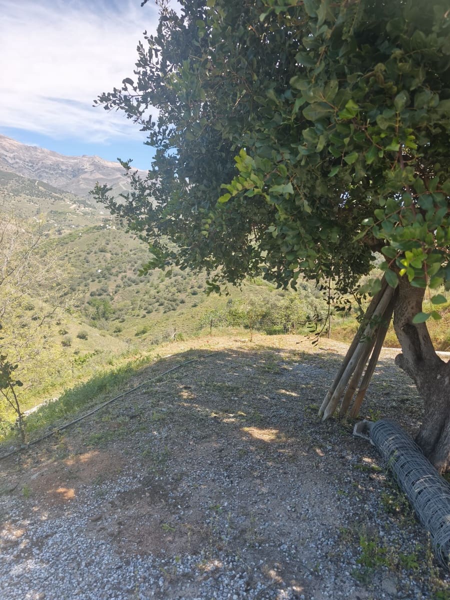 Mark att hyra i Sedella - 900 € (Ref: 9789511)