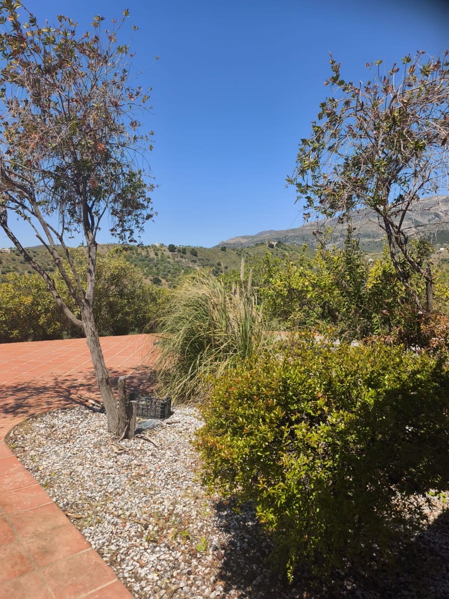 Mark att hyra i Sedella - 900 € (Ref: 9789511)