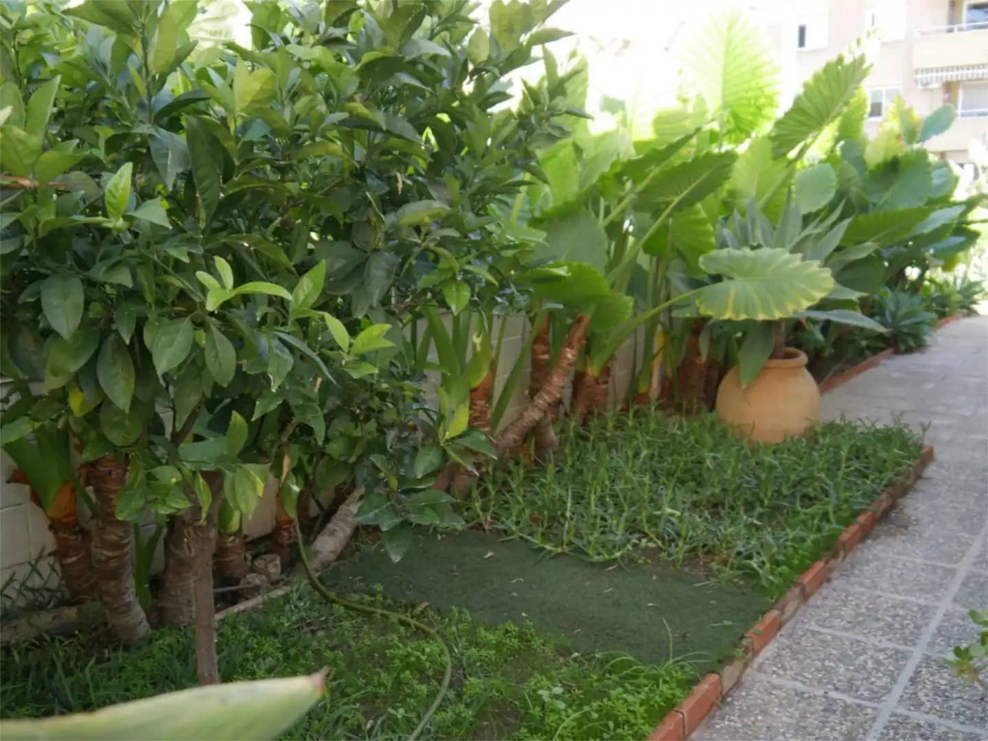 3 bedroom Villa for rent in Malaga city with garage - € 2,400 (Ref: 9790012)