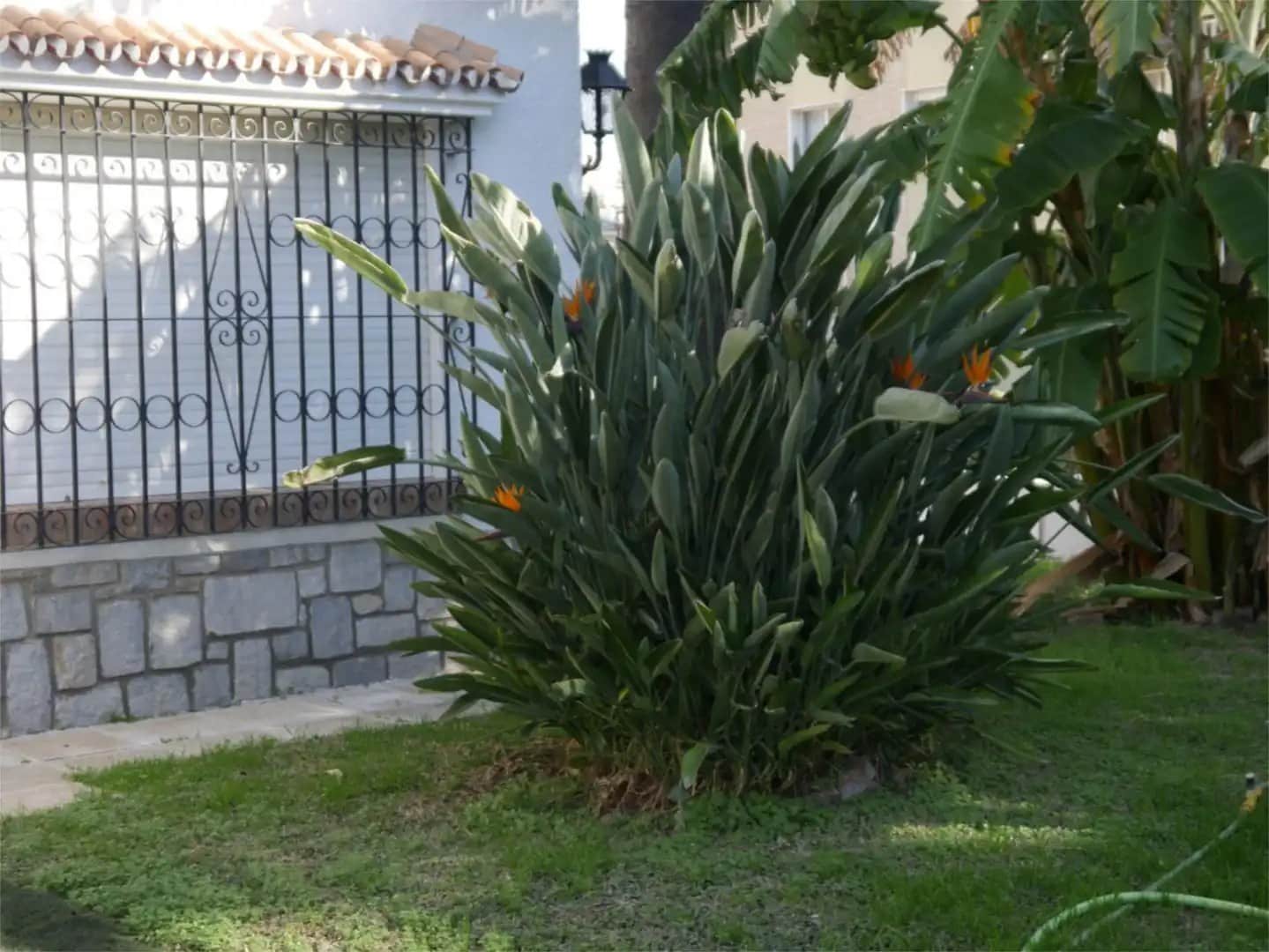 3 bedroom Villa for rent in Malaga city with garage - € 2,400 (Ref: 9790012)