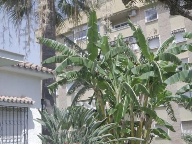 3 sovrum Villa att hyra i El Drago, Málaga stad med garage - 2 400 € (Ref: 9790012)