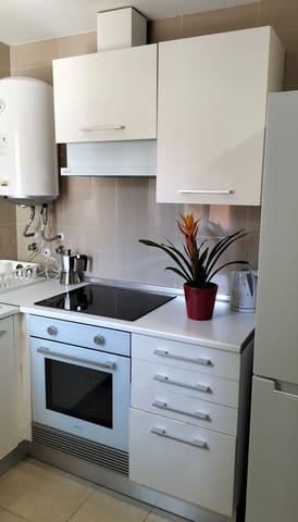 Studio til leje i La Trinidad, Málaga by - € 800 (Ref: 9793766)