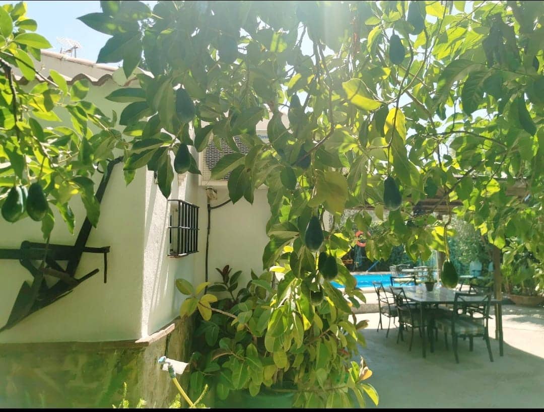 Ubebygd land til leie i Guaro - € 1 200 (Ref: 9838287)