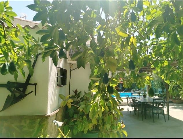 Ubebygd land til leie i Guaro - € 1 200 (Ref: 9838287)