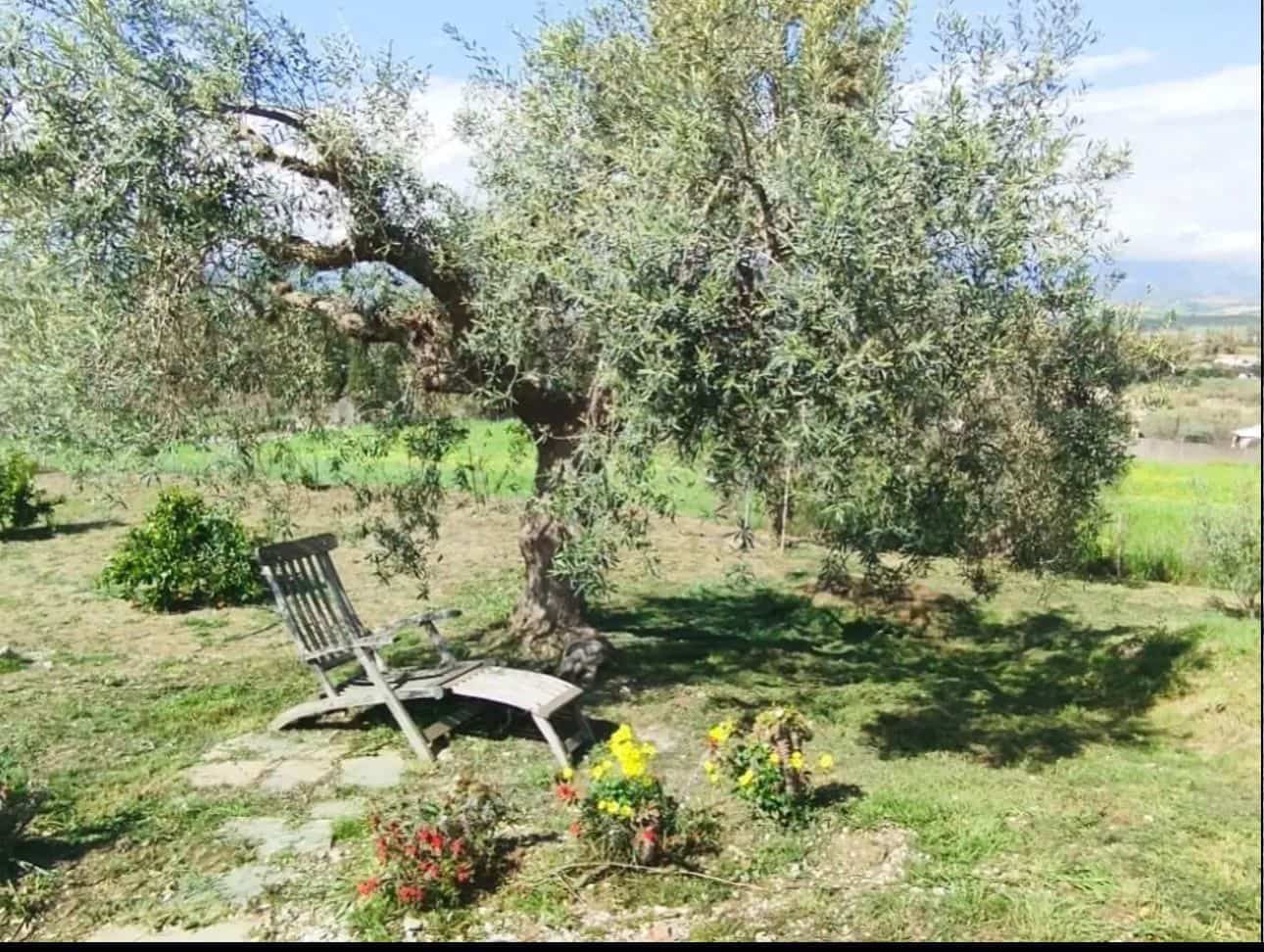 2 bedroom Finca/Country House for rent in Coin with pool garage - € 1,400 (Ref: 9877027)