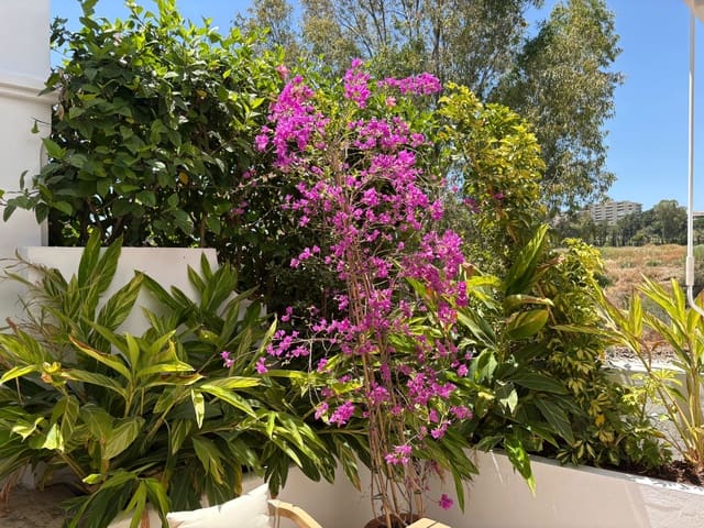 4 sypialnia Dom szeregowy do wynajęcia w Nueva Atalaya, Estepona z basenem garażem - 4 000 € (Ref: 9902685)