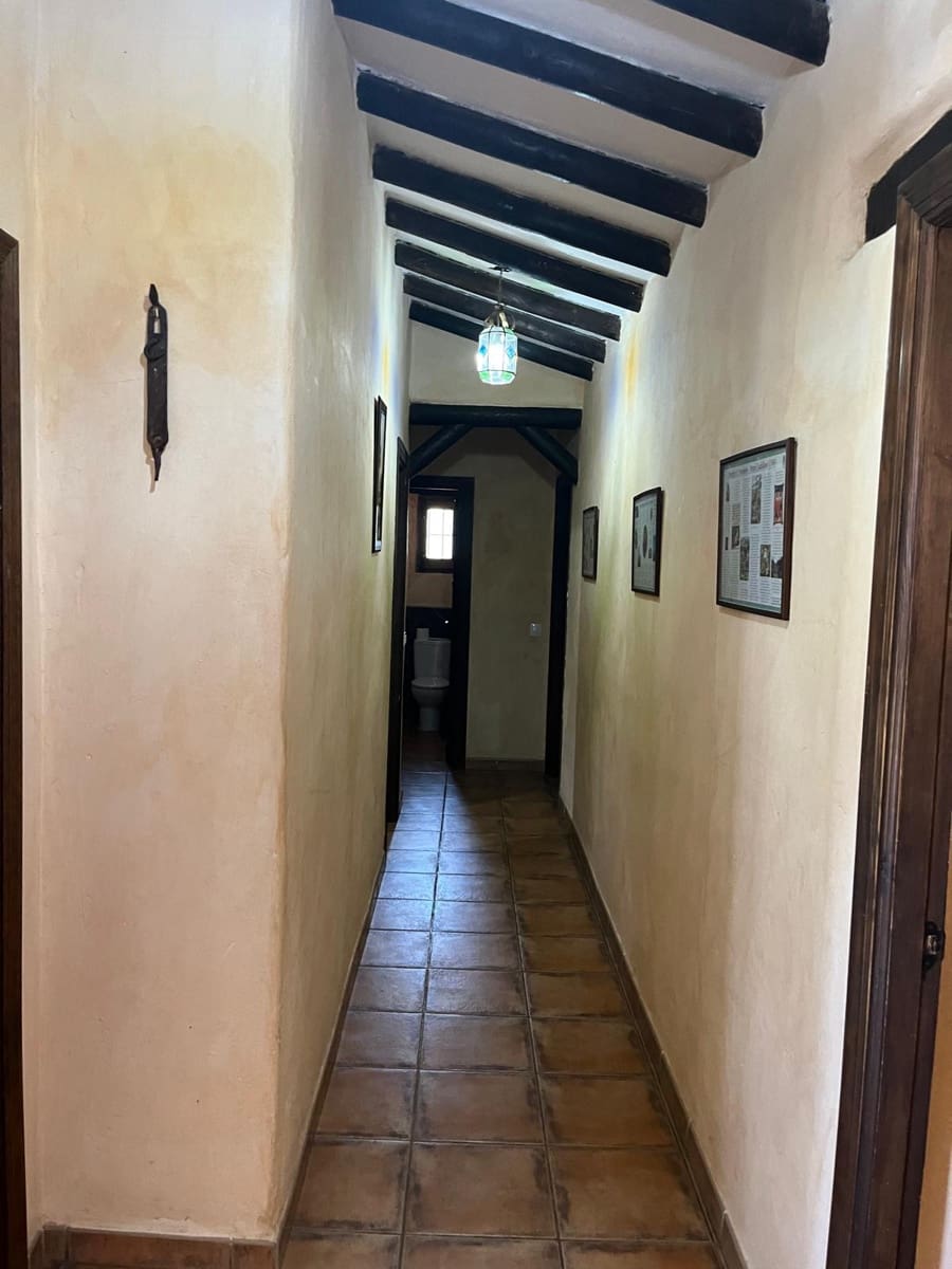 Teren niezagospodarowany do wynajęcia w Sedella - 1 300 € (Ref: 9965598)