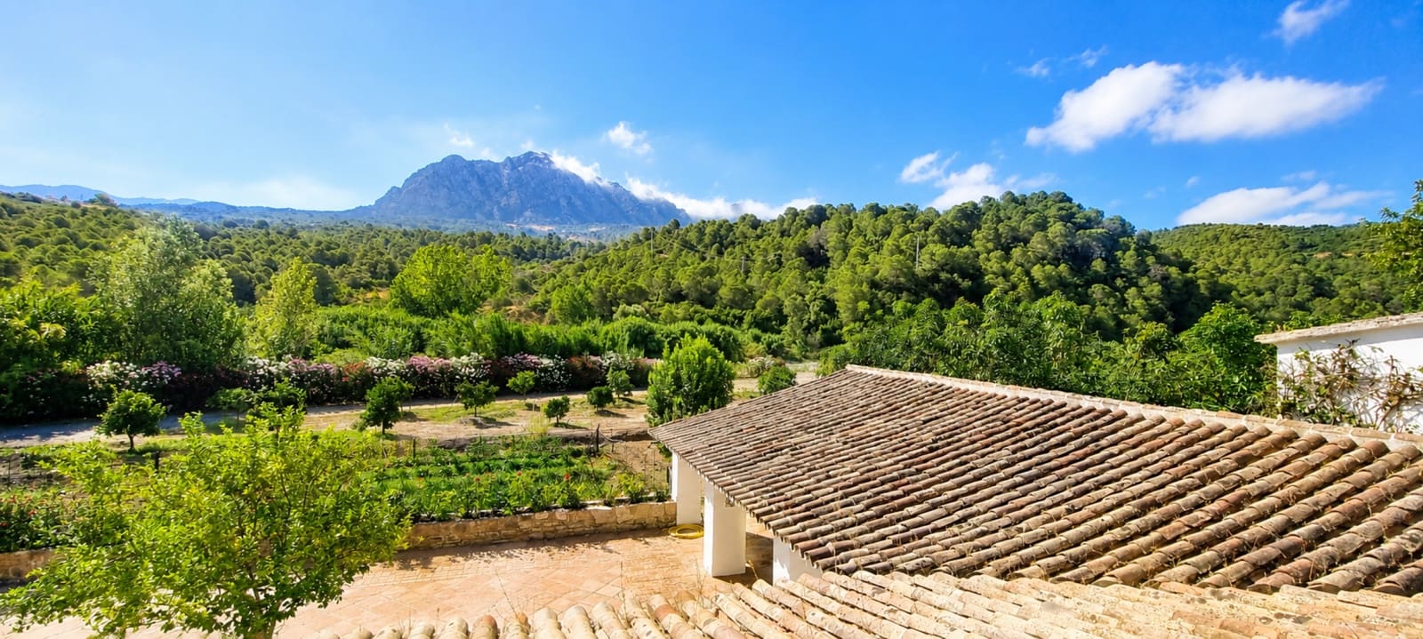 10 bedroom Finca/Country House for sale in Gaucin with pool - € 2,799,000 (Ref: 10017018)