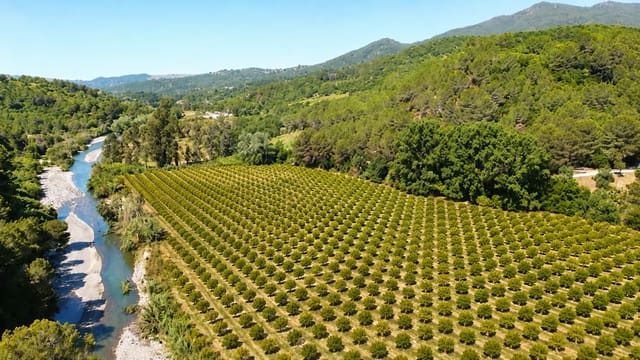 10 bedroom Finca/Country House for sale in Gaucín with pool - € 2,799,000 (Ref: 10017018)