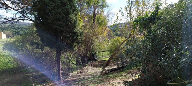 3 soveværelse Villa til salg i Jimena de la Frontera - € 265.000 (Ref: 4582805)