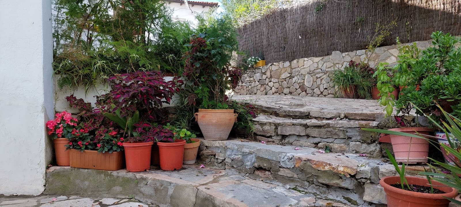 3 sypialnia Willa na sprzedaż w Jimena de la Frontera - 220 000 € (Ref: 4582805)