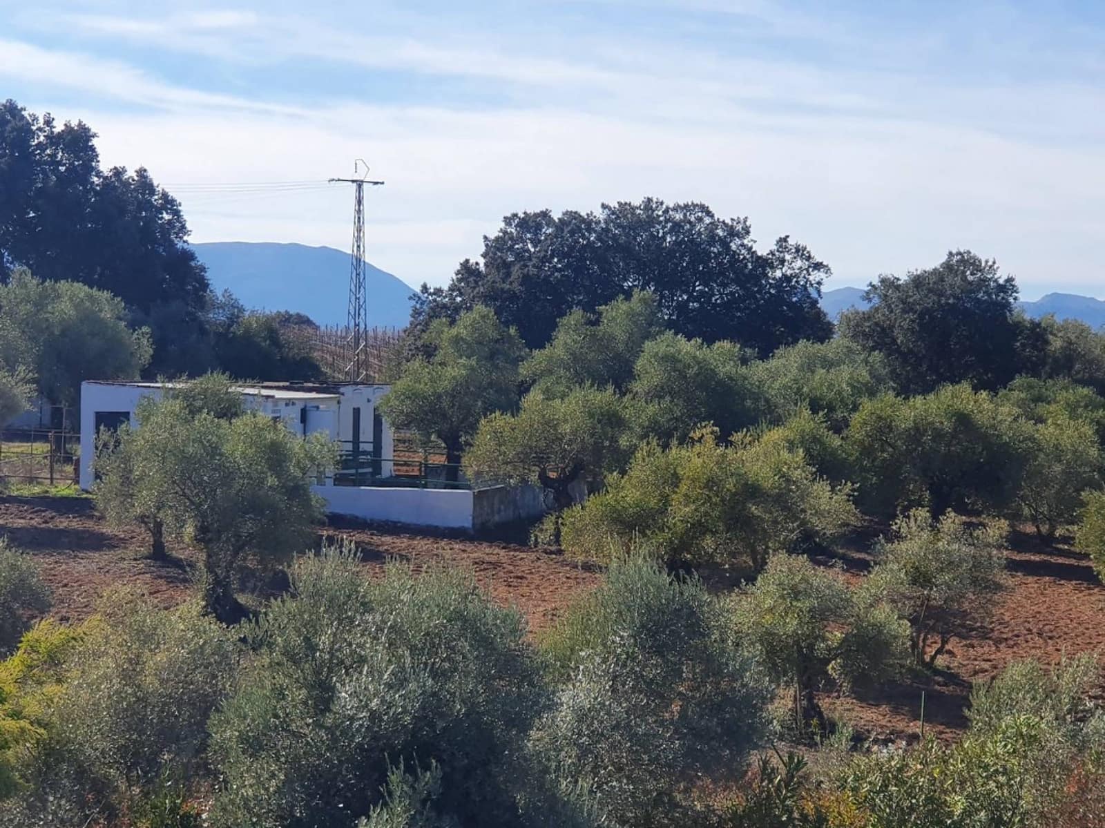 6 sypialnia Finka/Dom wiejski na sprzedaż w Ronda z basenem - 750 000 € (Ref: 7241068)