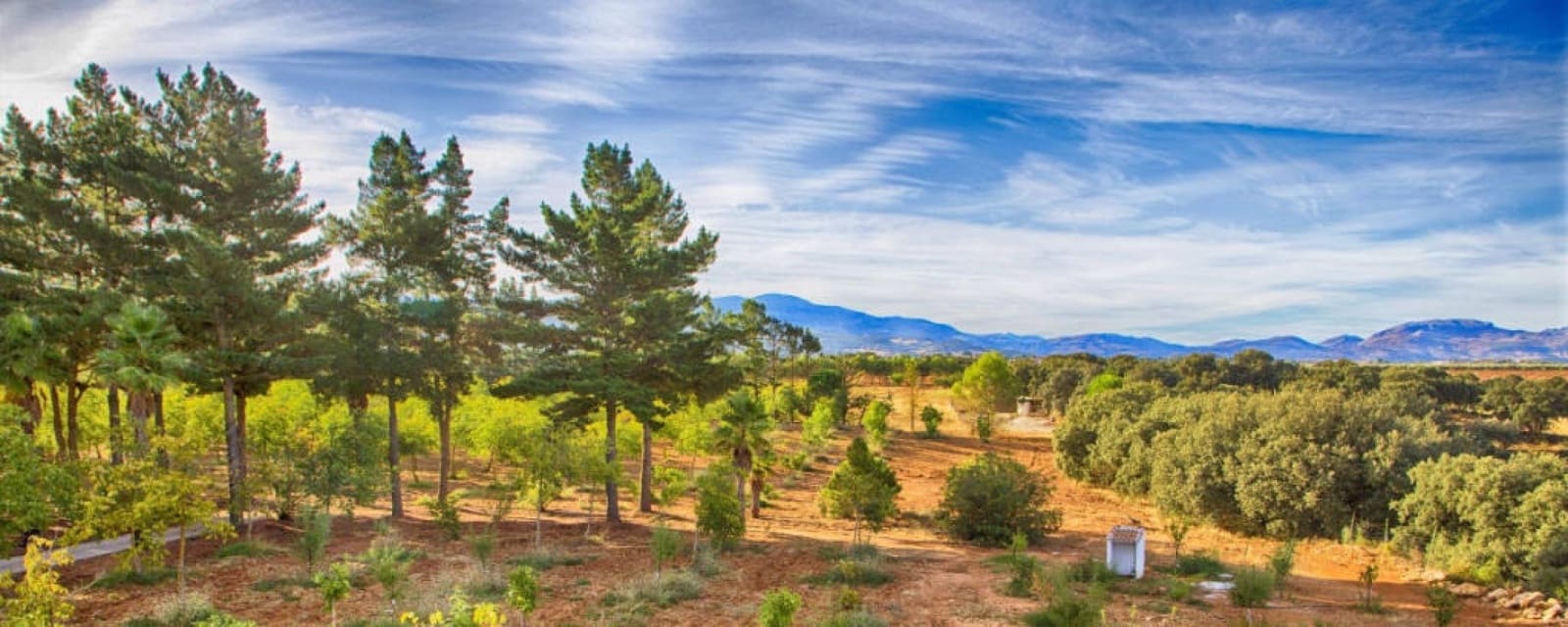 3 slaapkamer Finca/Landhuis te koop in Ronda - € 1.600.000 (Ref: 7268665)