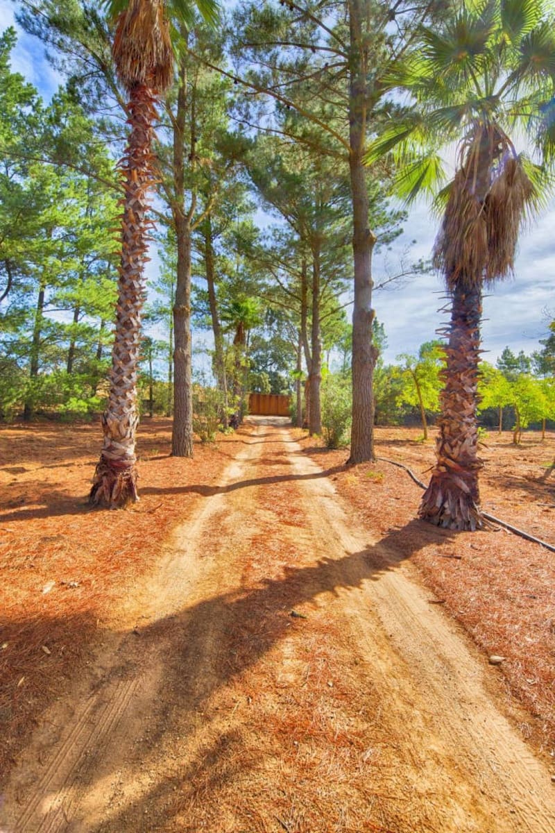 3 slaapkamer Finca/Landhuis te koop in Ronda - € 1.600.000 (Ref: 7268665)