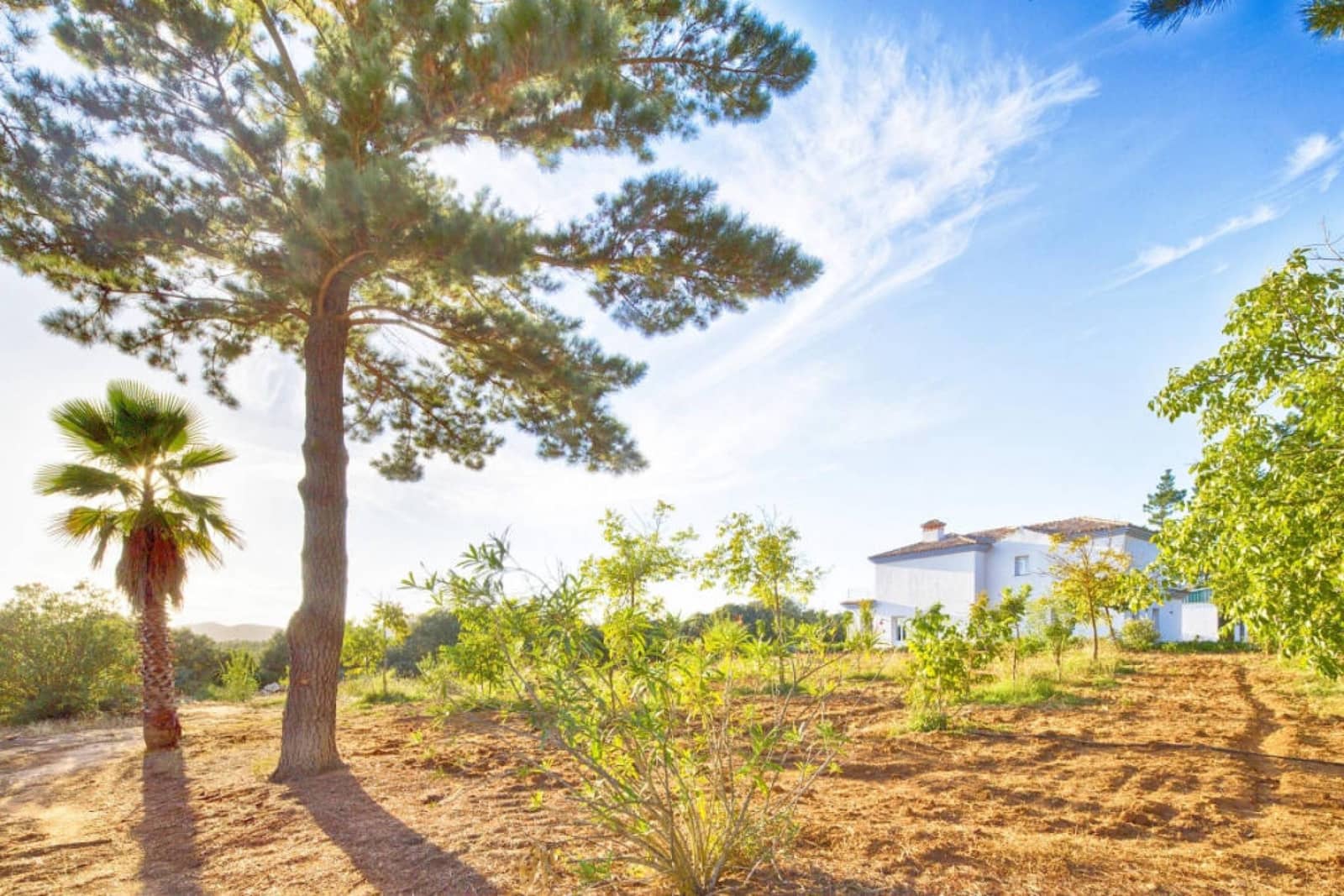 3 slaapkamer Finca/Landhuis te koop in Ronda - € 1.600.000 (Ref: 7268665)