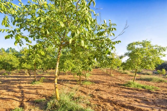 3 slaapkamer Finca/Landhuis te koop in Ronda - € 1.600.000 (Ref: 7268665)