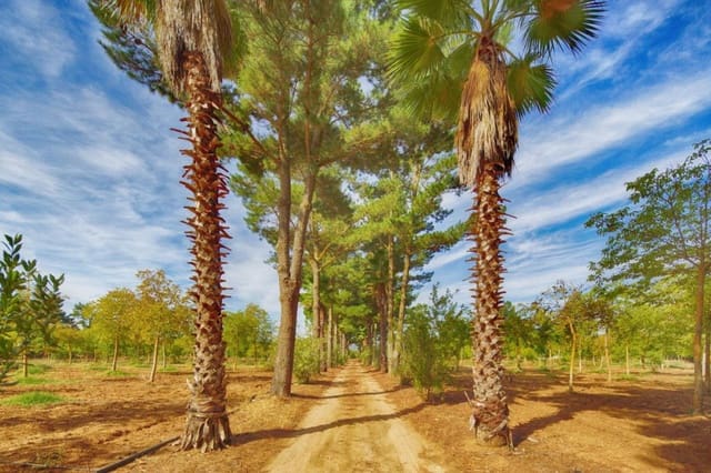 3 slaapkamer Finca/Landhuis te koop in Ronda - € 1.600.000 (Ref: 7268665)