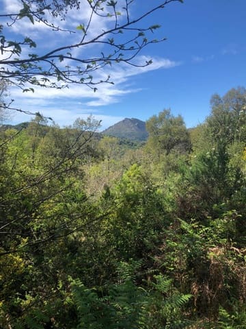 Tontti myytävänä paikassa Gaucín - 198 999 € (Ref: 8212812)