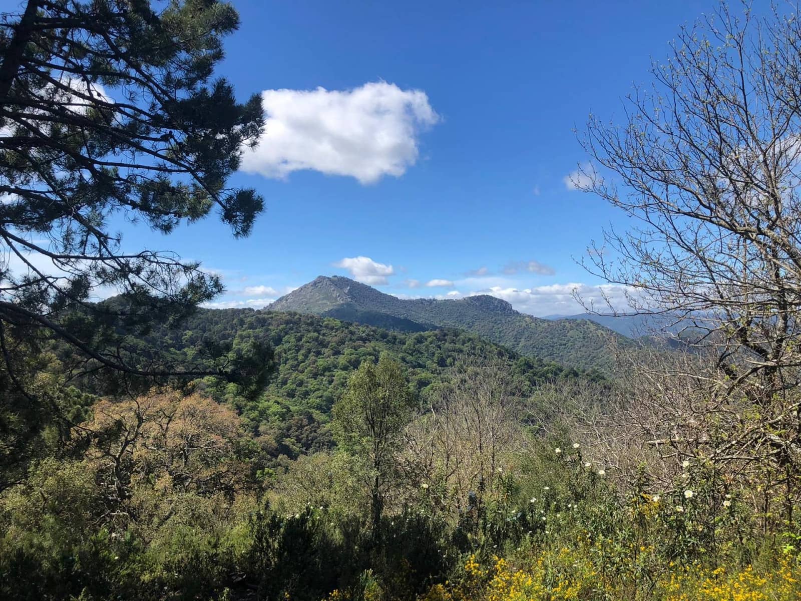 Tontti myytävänä paikassa Gaucin - 198 999 € (Ref: 8212812)