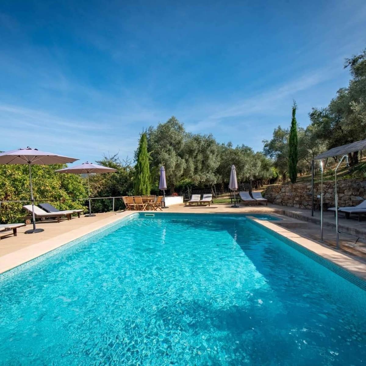 12 bedroom Hotel for sale in Constantina - € 1,650,000 (Ref: 8299648)