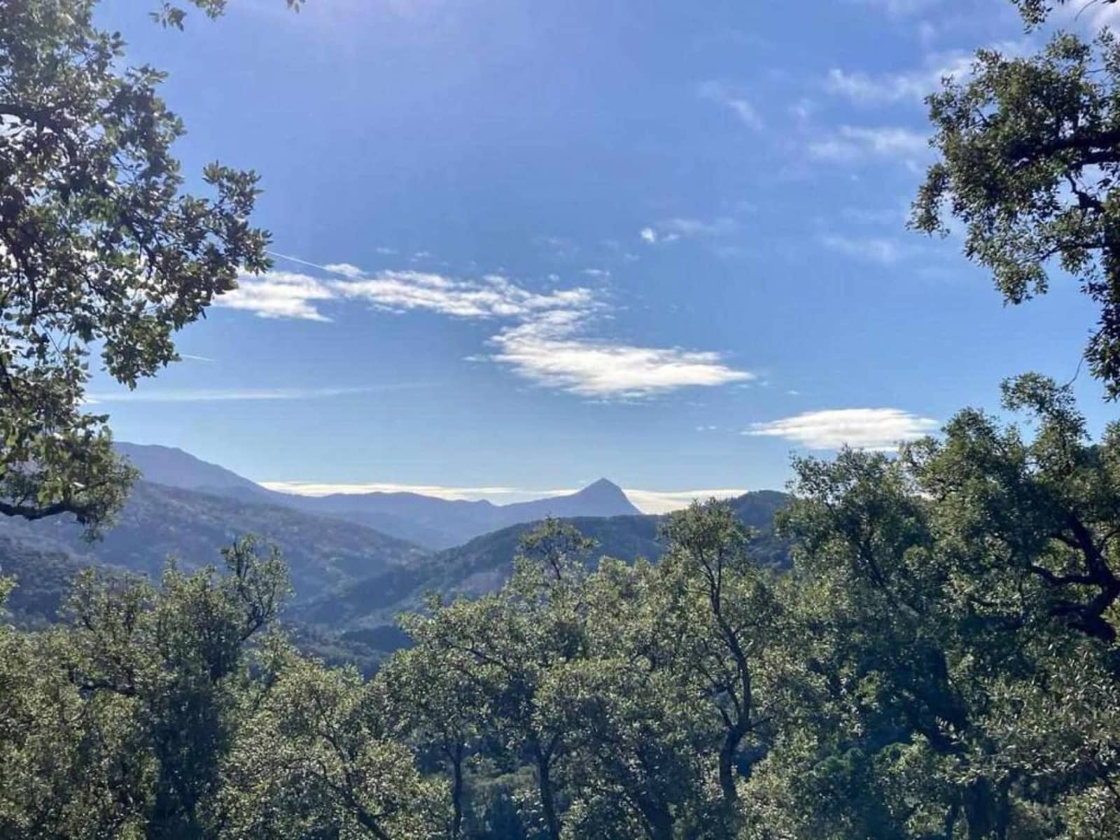 3 sypialnia Finka/Dom wiejski na sprzedaż w Benalauria - 425 000 € (Ref: 8397206)