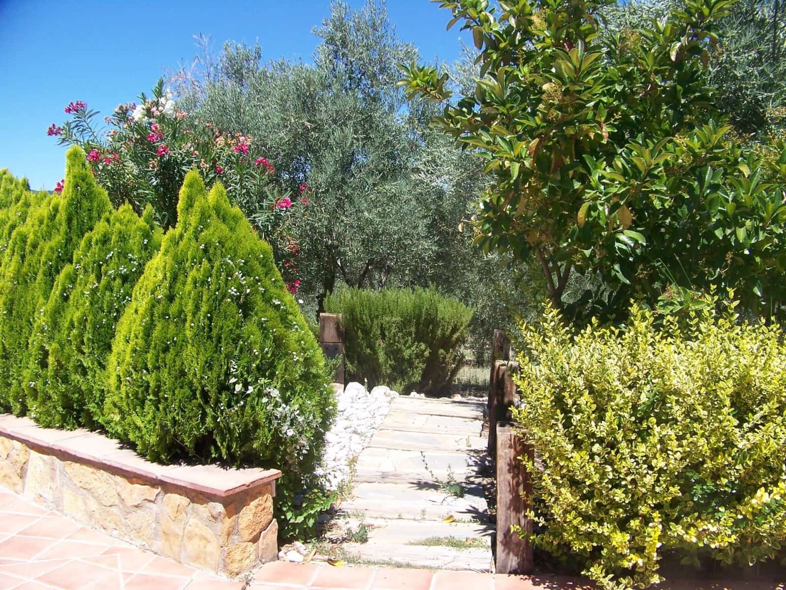 6 soveværelse Finca/Landehus til salg i Ronda med swimmingpool - € 456.000 (Ref: 8434749)