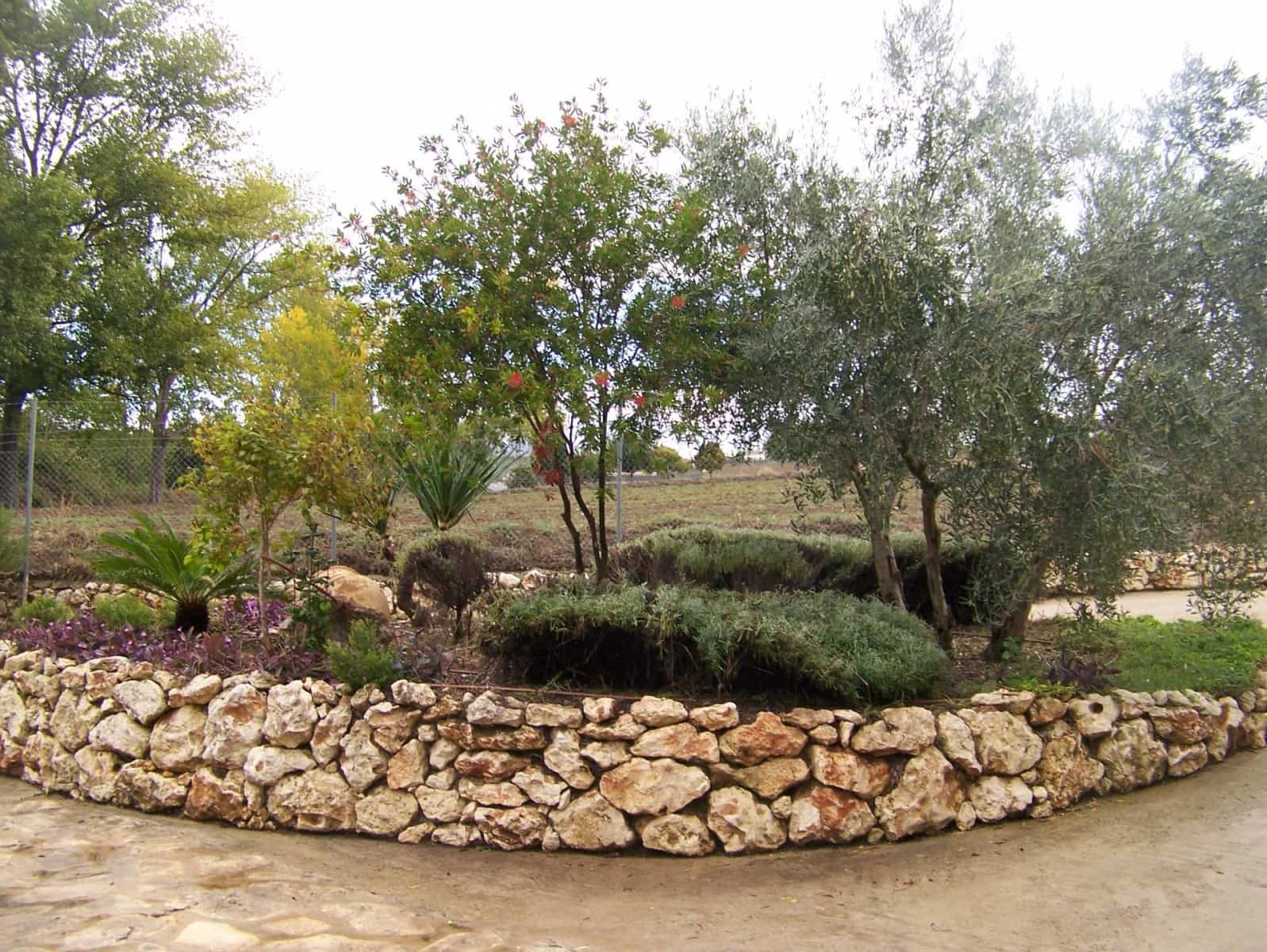 6 soveværelse Finca/Landehus til salg i Ronda med swimmingpool - € 456.000 (Ref: 8434749)