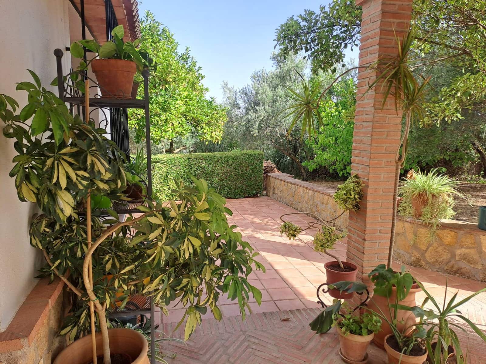 6 soveværelse Finca/Landehus til salg i Ronda med swimmingpool - € 456.000 (Ref: 8434749)