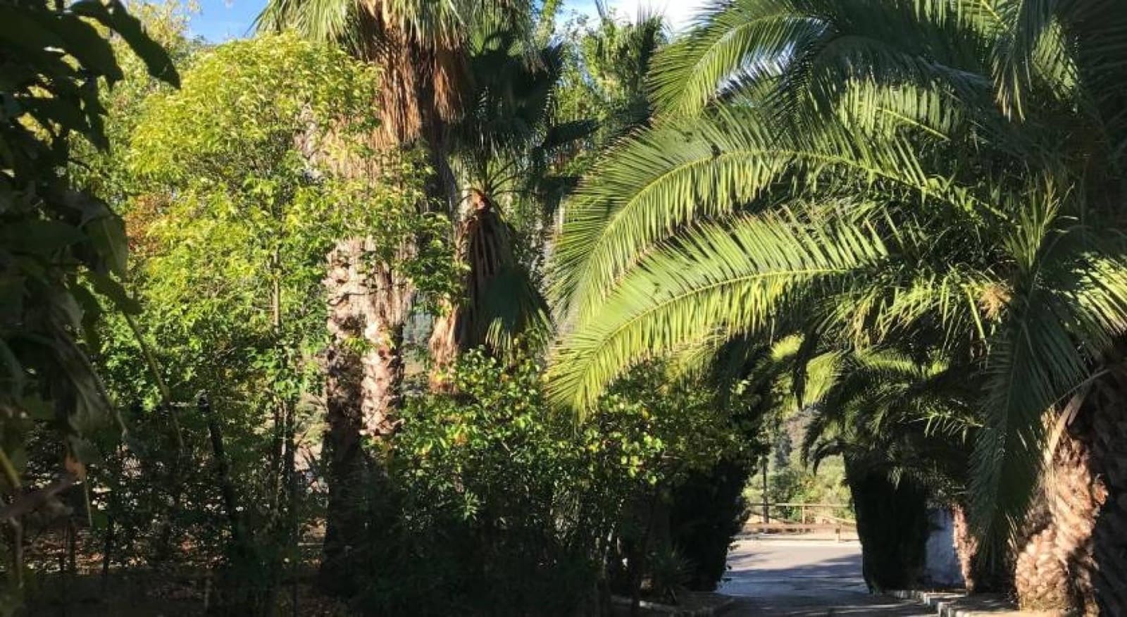 13 slaapkamer Finca/Landhuis te koop in Jimera de Libar met zwembad - € 799.000 (Ref: 8461377)