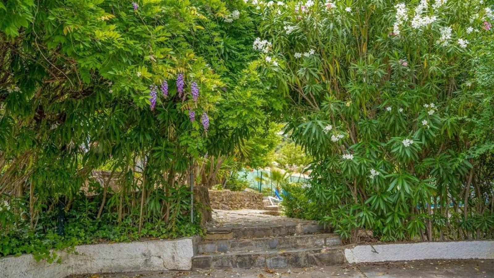 13 slaapkamer Finca/Landhuis te koop in Jimera de Libar met zwembad - € 799.000 (Ref: 8461377)