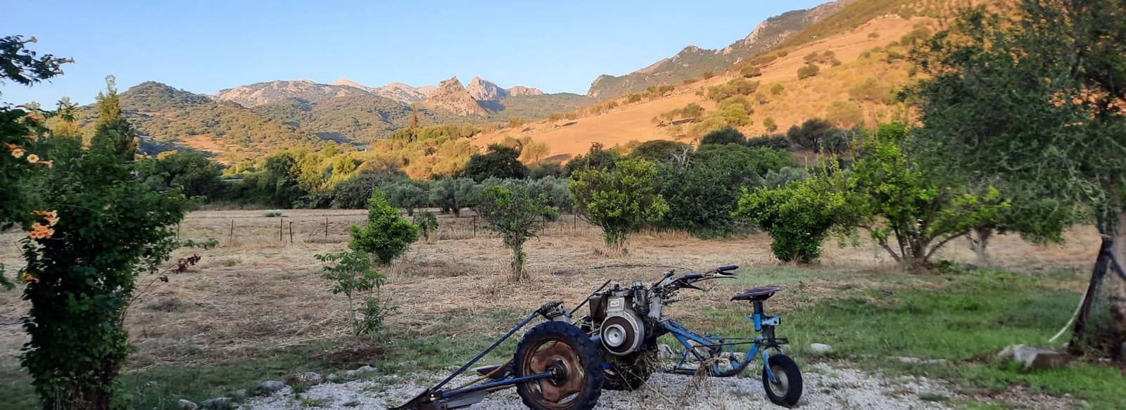 6 soveværelse Guesthouse/B & B til salg i Grazalema - € 599.999 (Ref: 8485461)