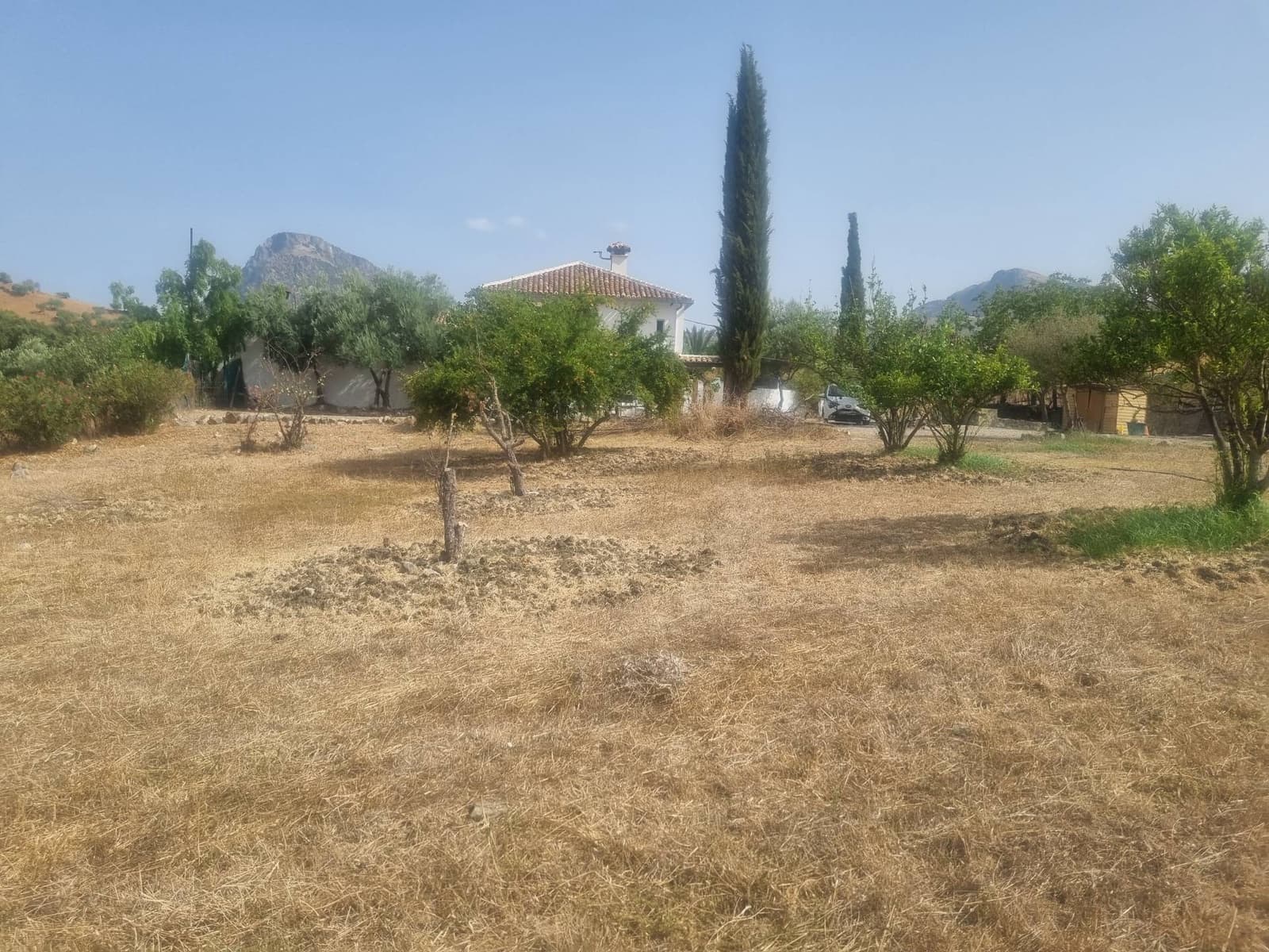 6 soveværelse Guesthouse/B & B til salg i Grazalema - € 599.999 (Ref: 8485461)